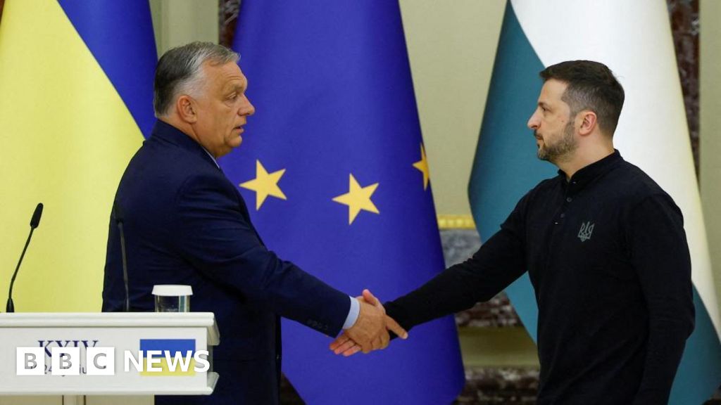 Hungary’s Viktor Orban urges Ukraine ceasefire on Kyiv visit